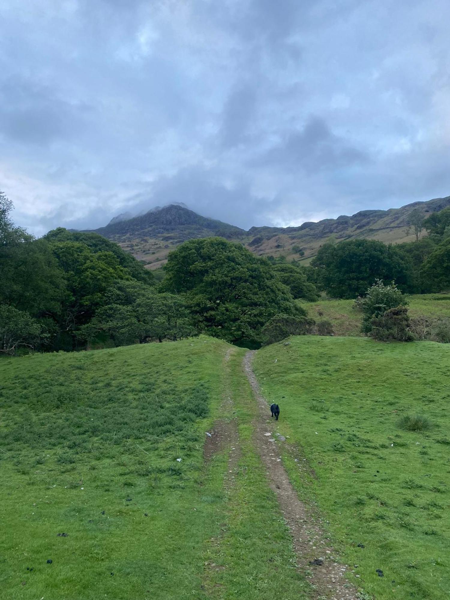 Cosy Glamping In The Eskdale Valley - Studio Lodges And Mega Pods المظهر الخارجي الصورة